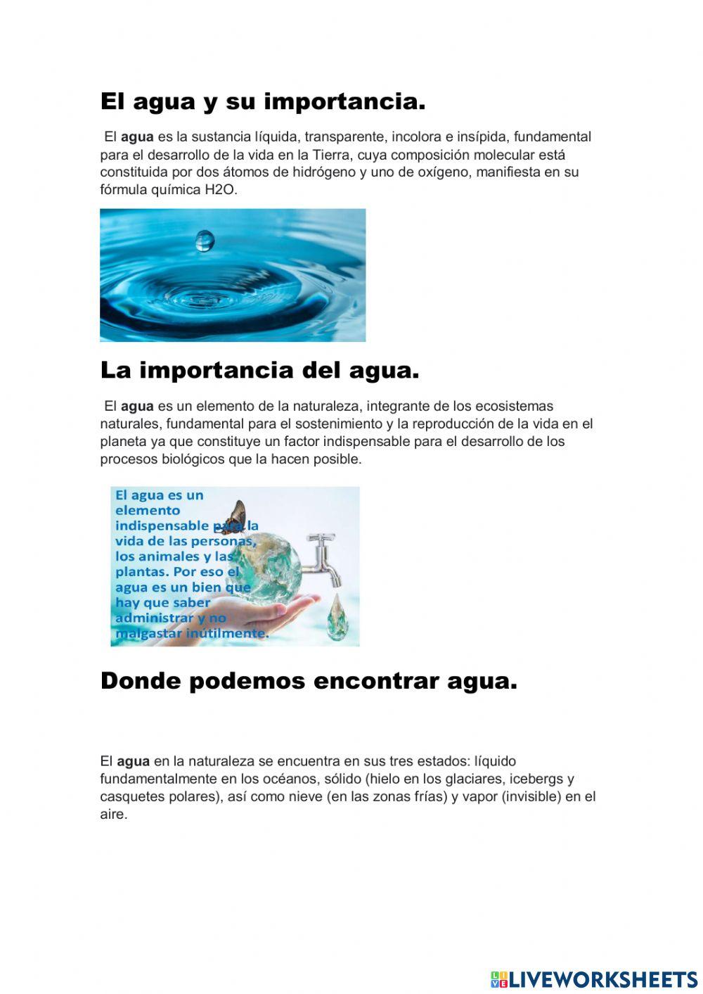 La importancia del agua