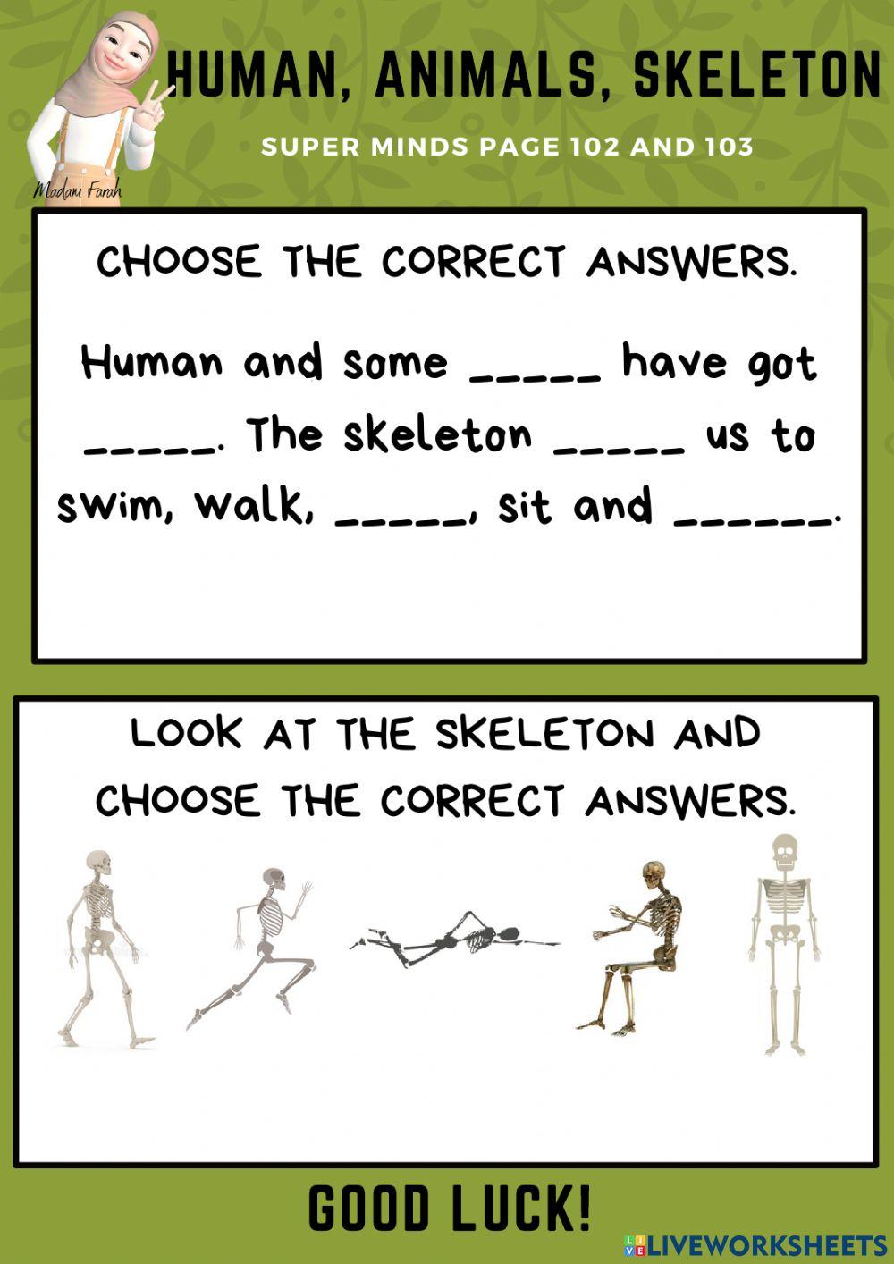 Unit 8: The Robot (Super Minds page 102 & 103)