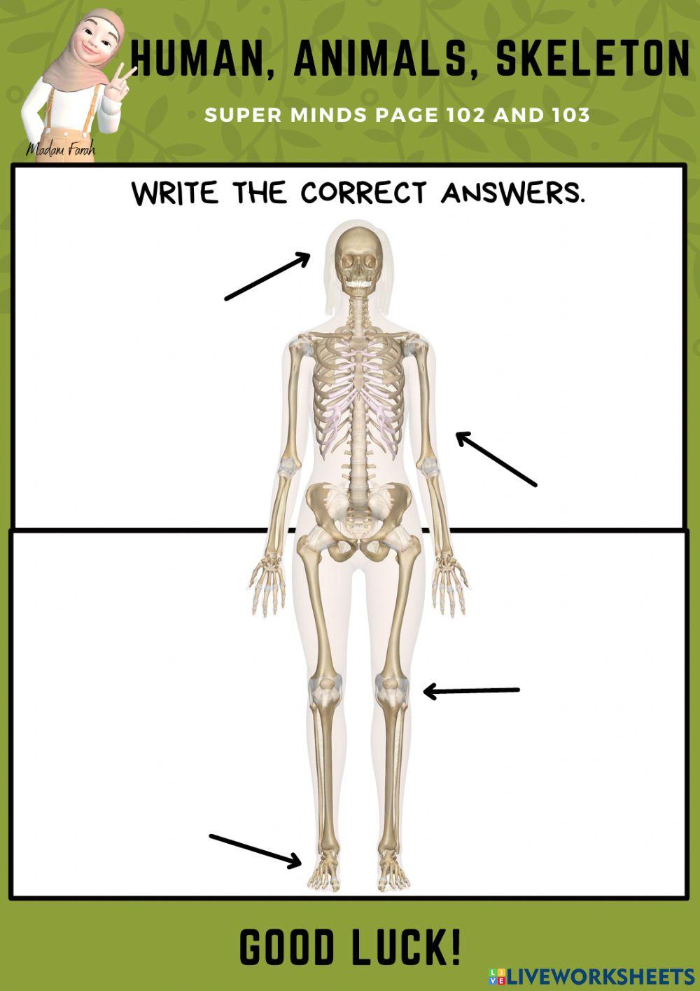 Unit 8: The Robot (Super Minds page 102 & 103)