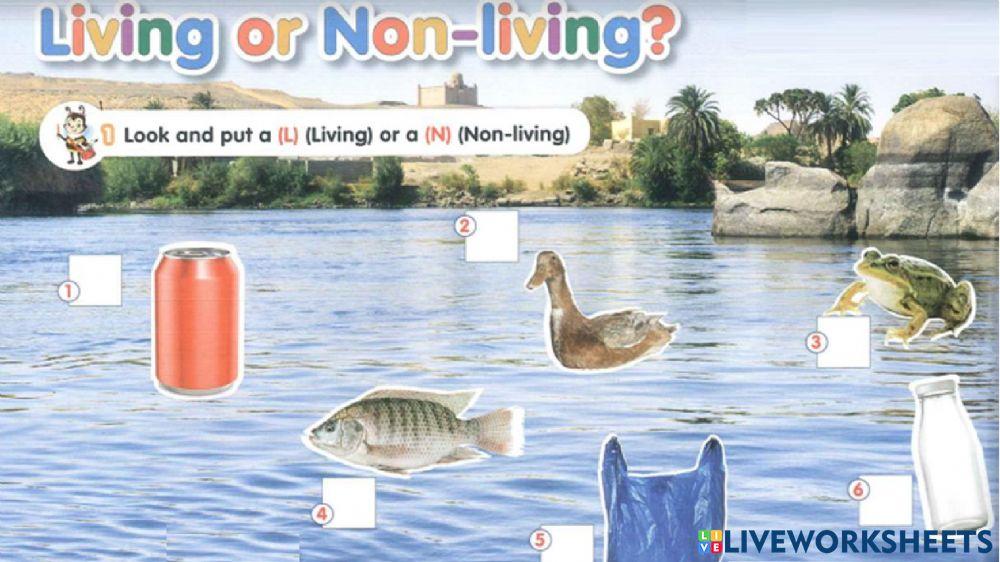 connect plus kg1 term1 unit4 p61