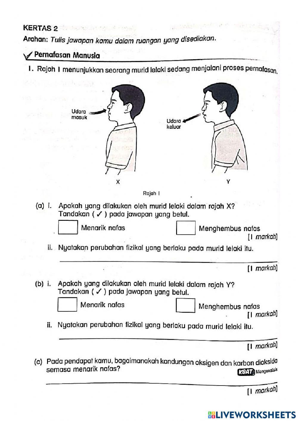 Latih tubi Sains Tahun 4- Manusia