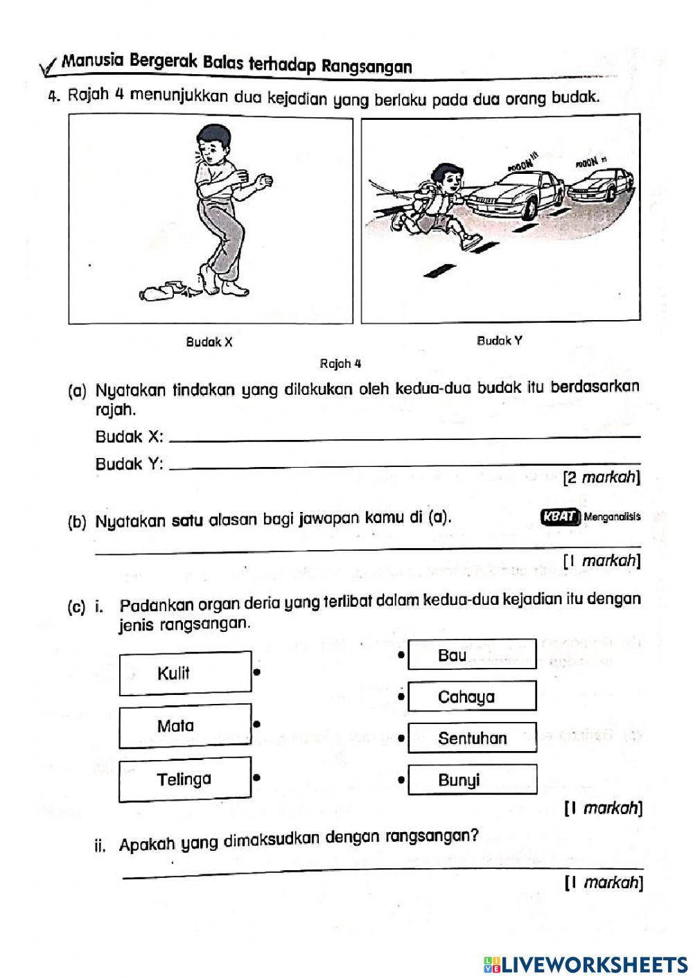 Latih tubi Sains Tahun 4- Manusia