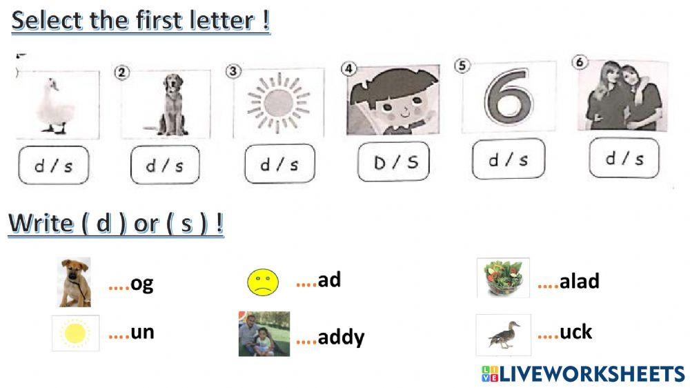 connect plus kg1 term1 unit4 p66