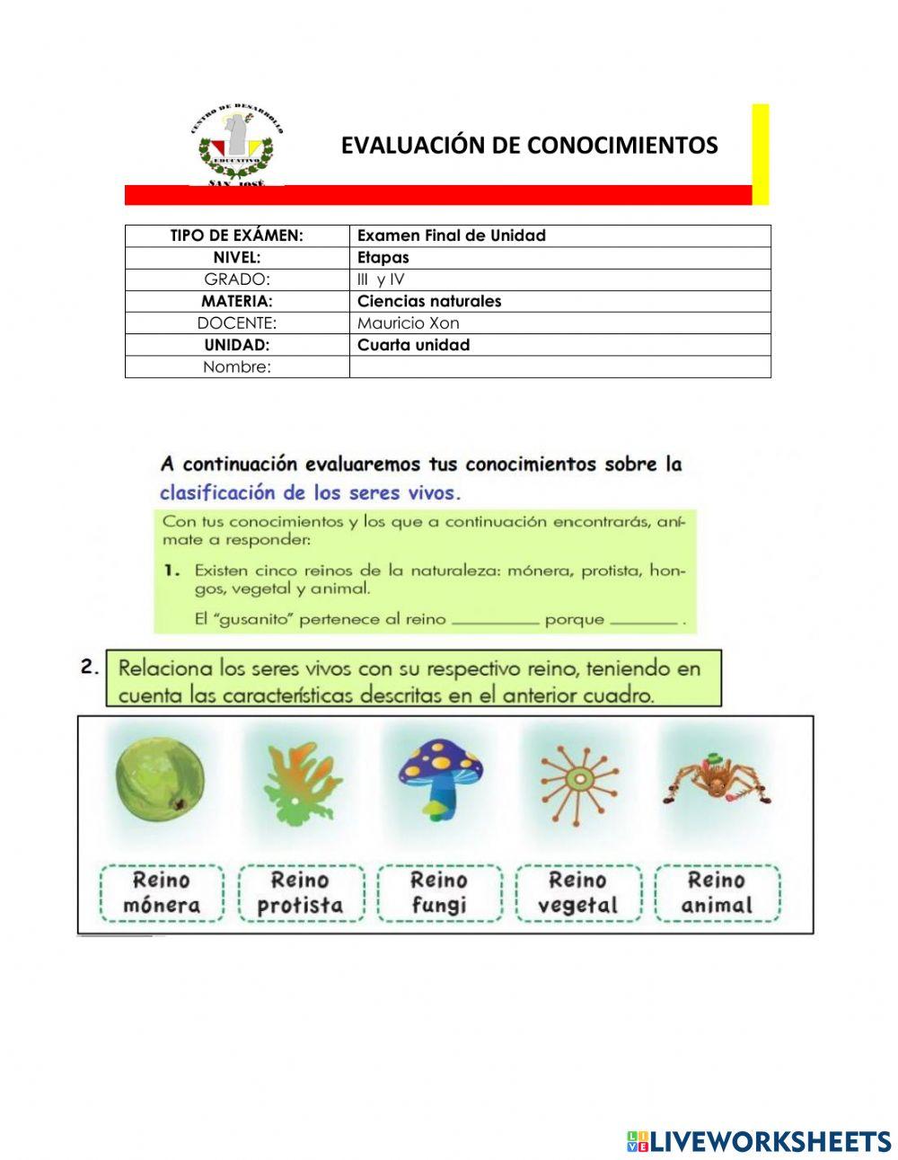 Examen final - Etapas