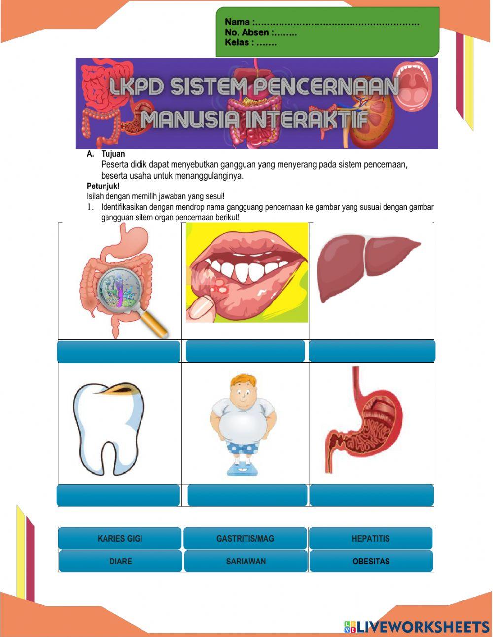 Gangguang pada sistem organ pencernaan