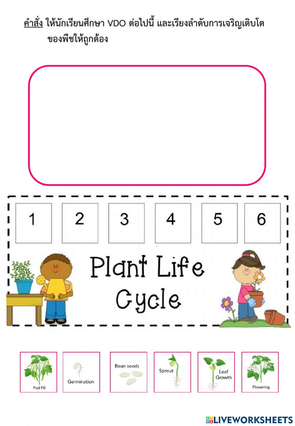 พืชรอบตัวเรา