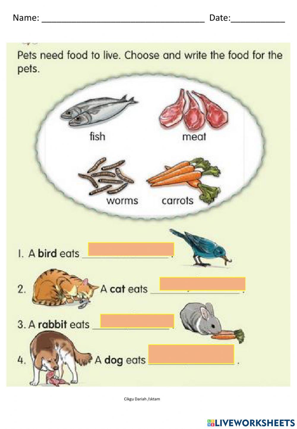 Food of pets 2
