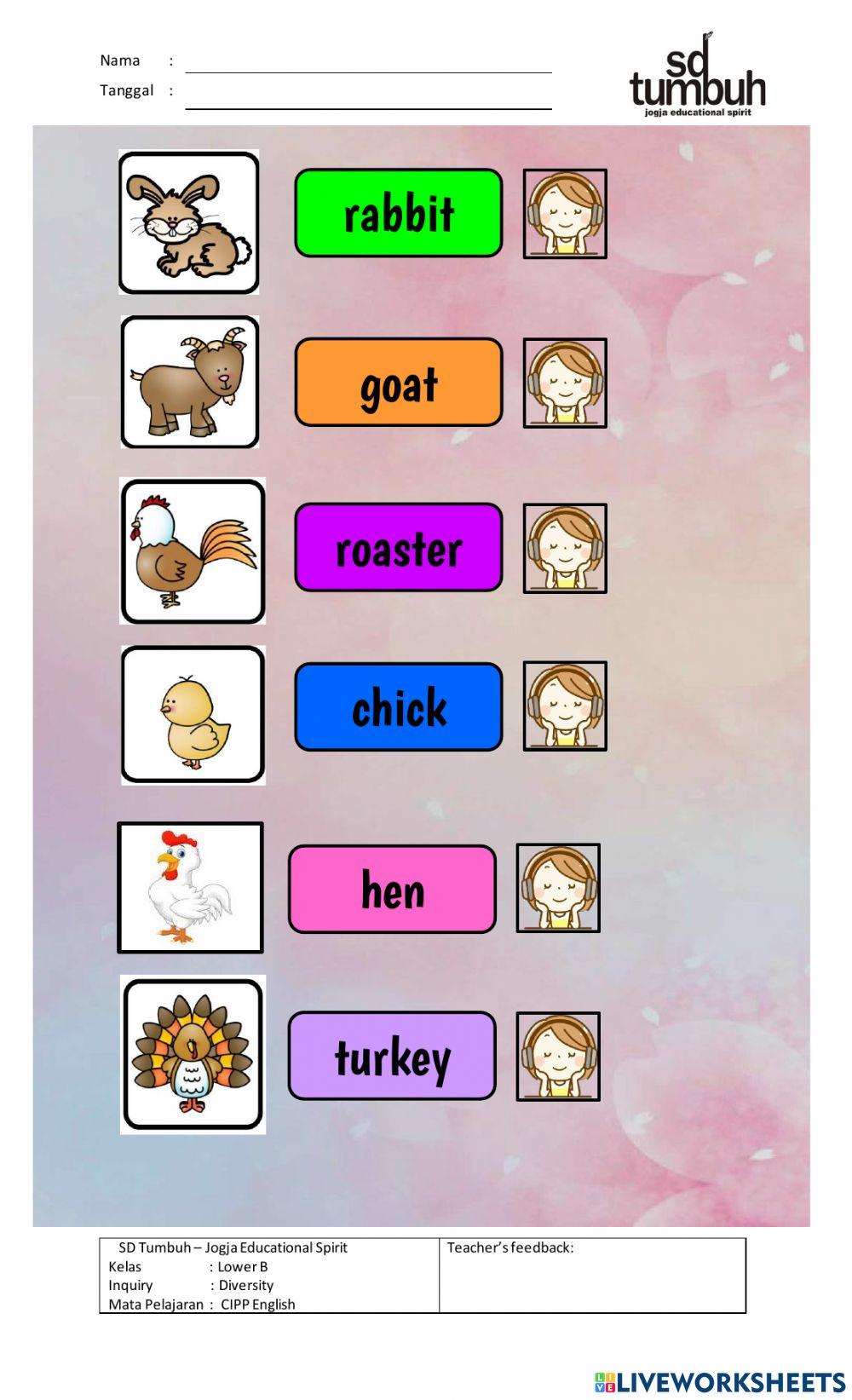 ON THE FARM-The Animals-B