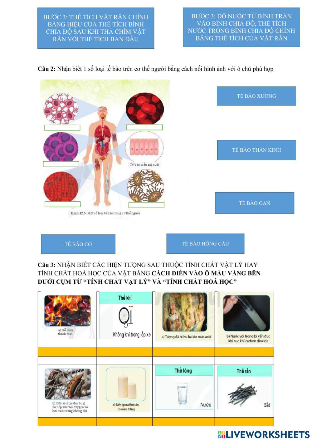 Đề chính thức thi giữa kì 1 khtn6