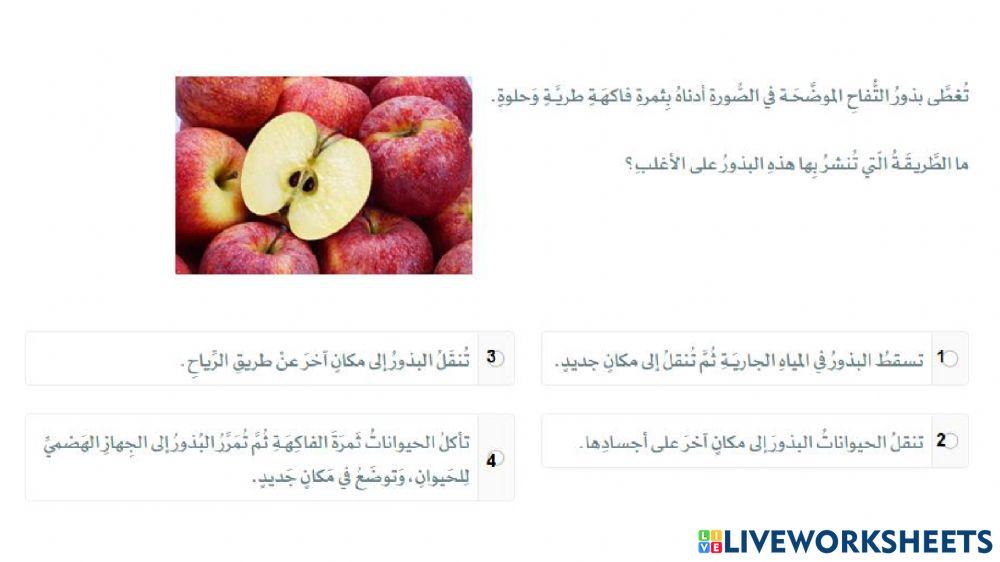 درس 31 تكاثر البذور ومغطاة البذور