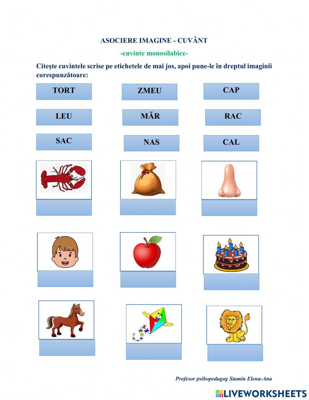Asociere imagine-cuvânt (cuvinte monosilabice)