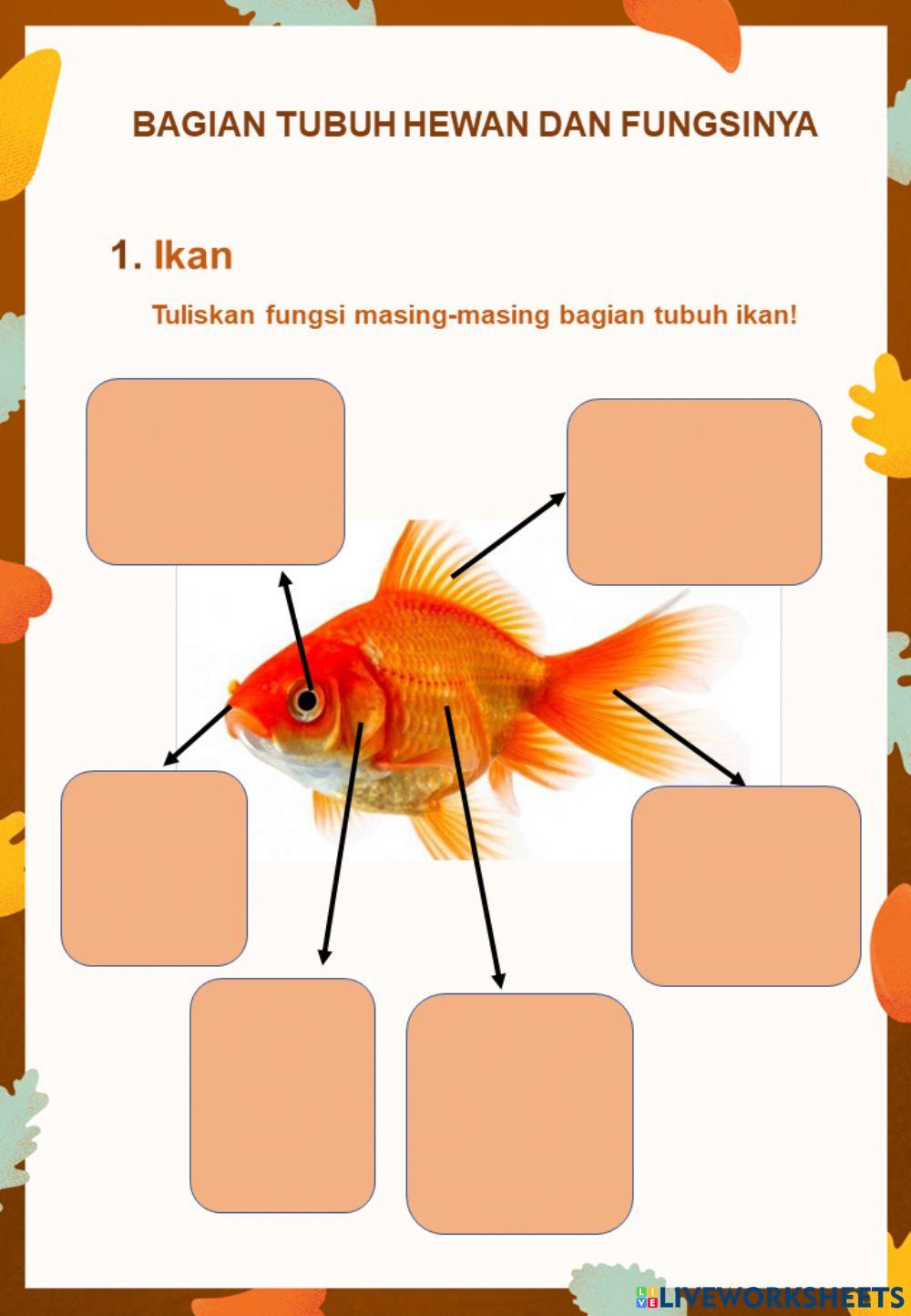 Fungsi Bagian Ikan