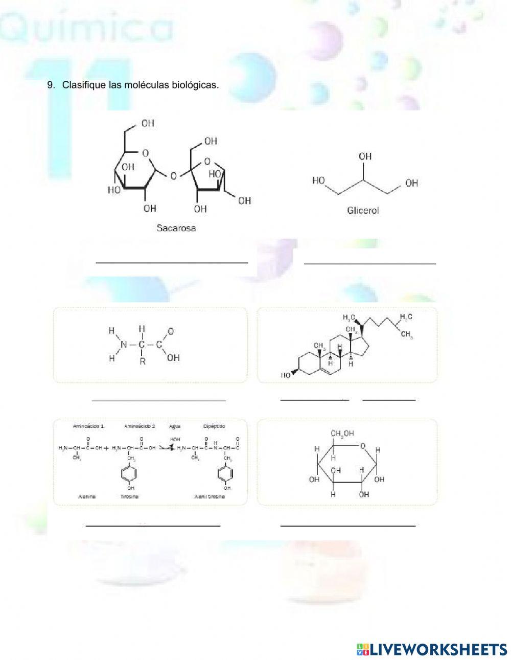 Moléculas Biológicas 1