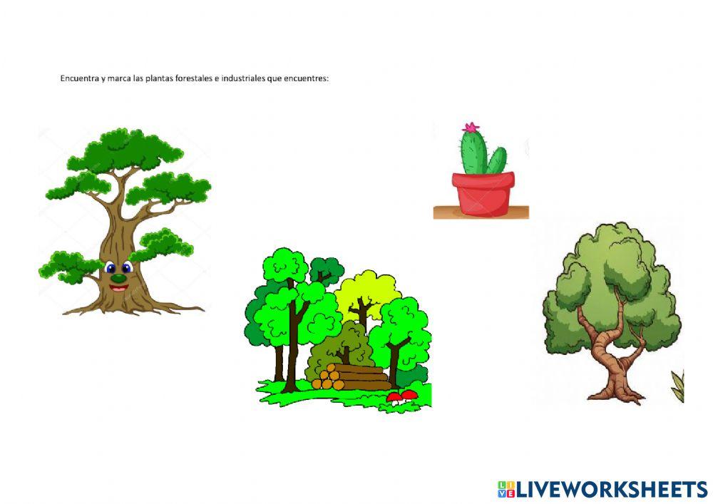 Plantas industriales y forestales