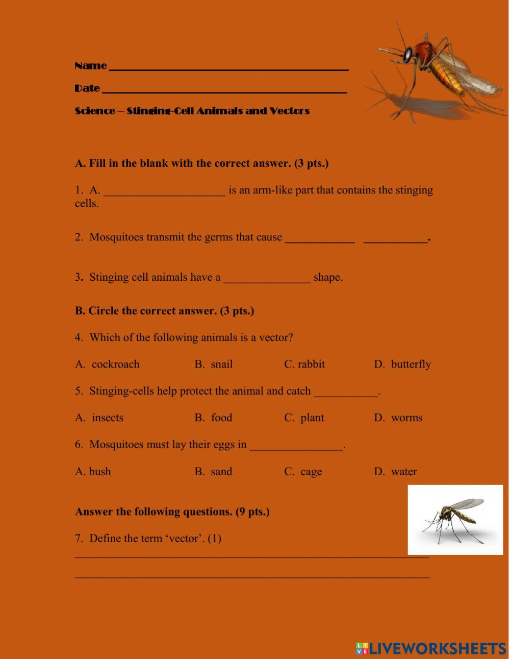 Stinging Cell Animals and Vectors