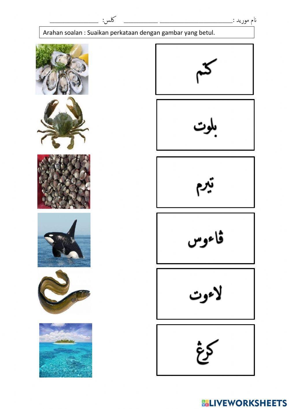 Perkataan dua sukukata terbuka dan tertutup