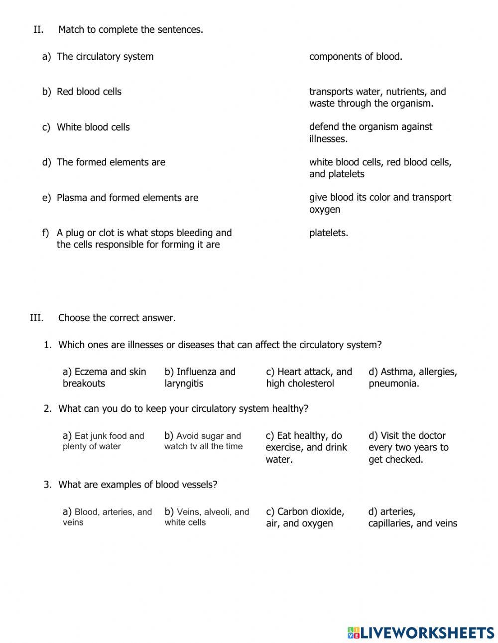 6th Grade Science Test TERM 1-1