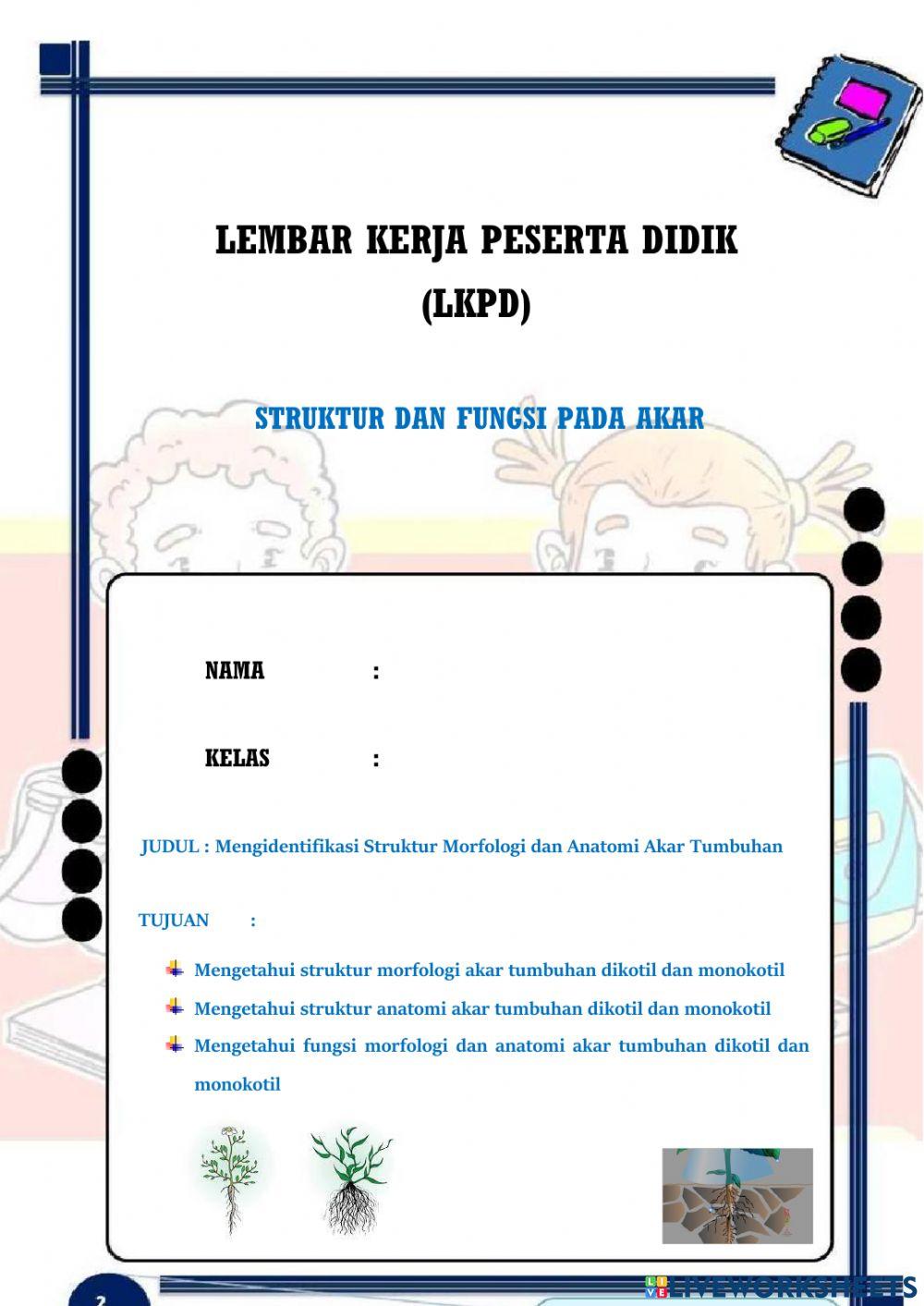 Struktur dan fungsi akar