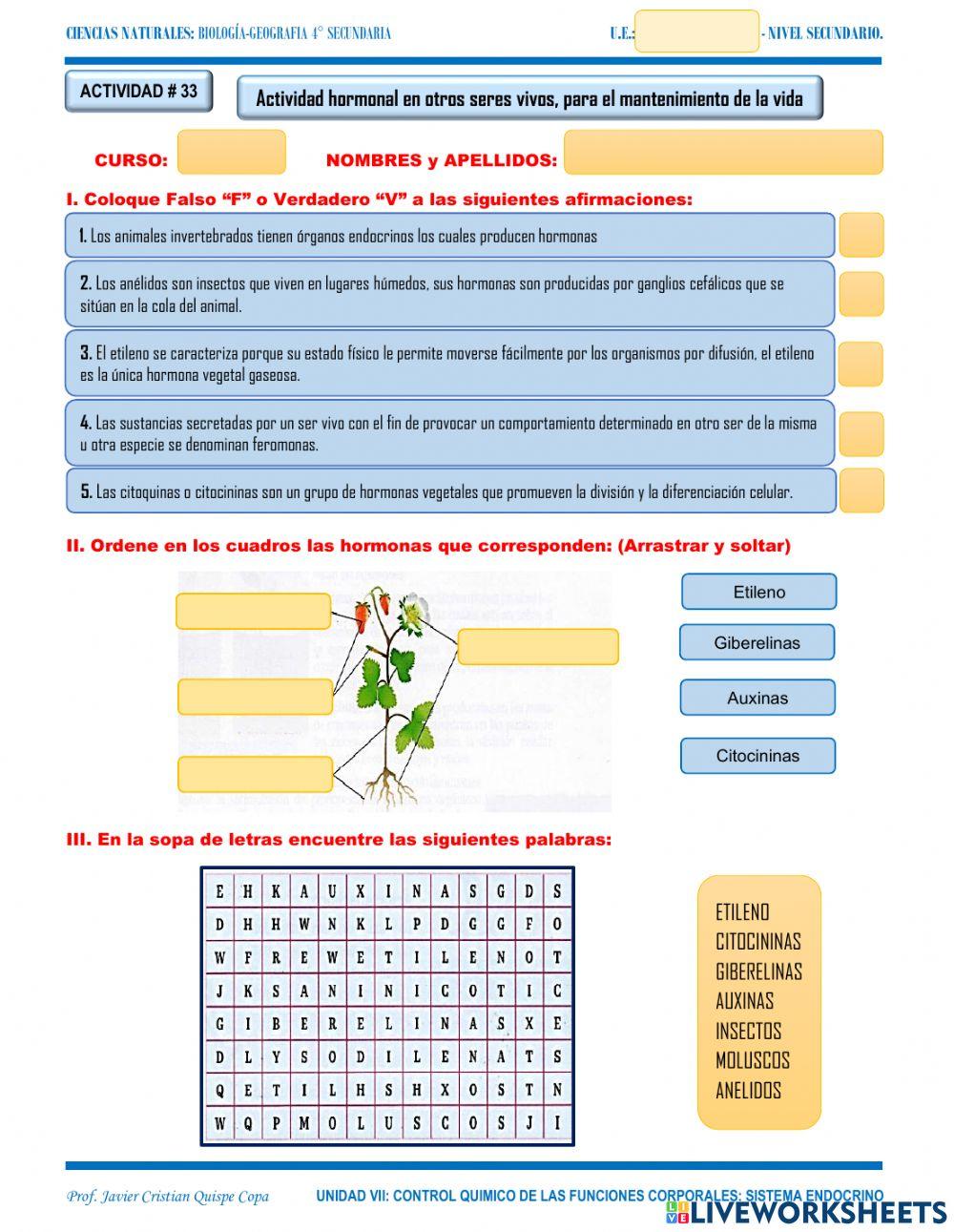 33. Actividad hormonal