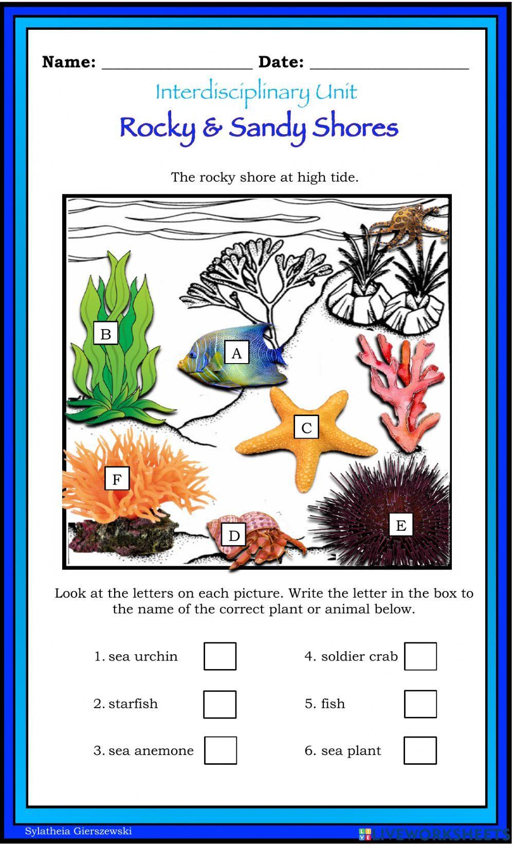 Rocky and Sandy Shores