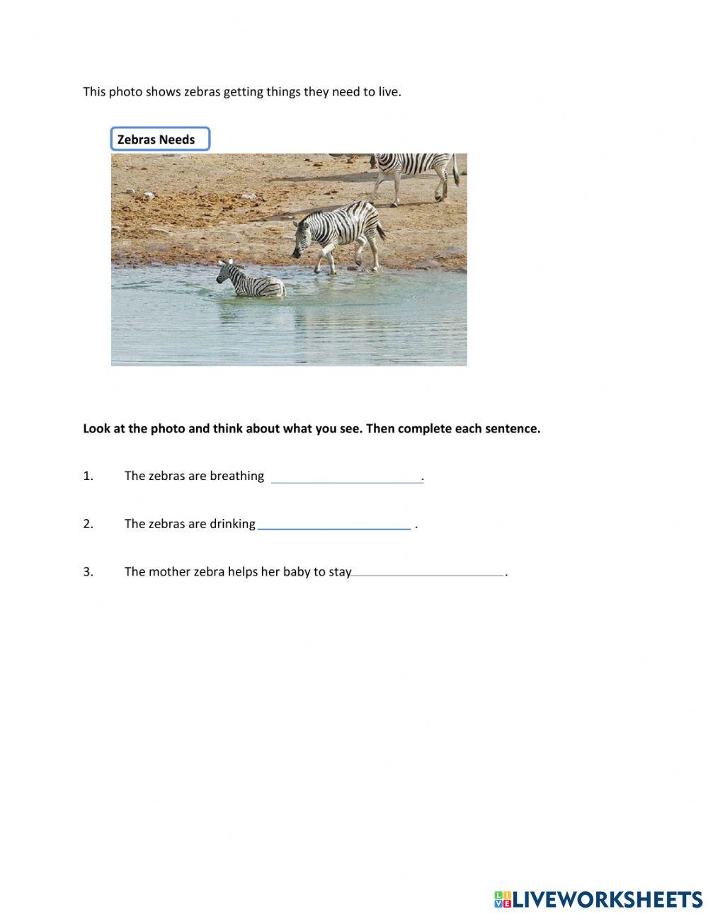 Unit 4: lesson 2 what animals need to live