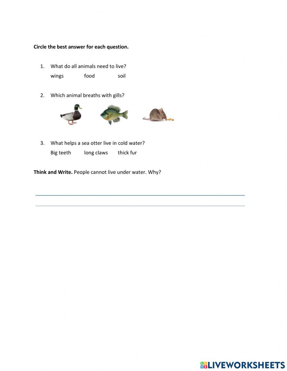 Unit 4: lesson 2 what animals need to live