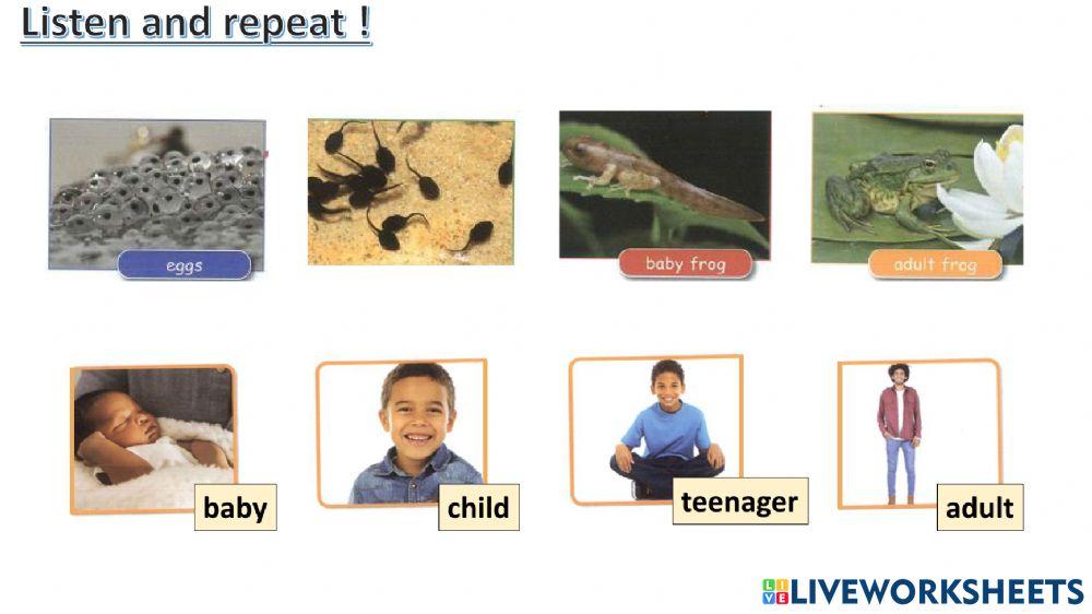 connect plus kg1 term1 unit3 p50