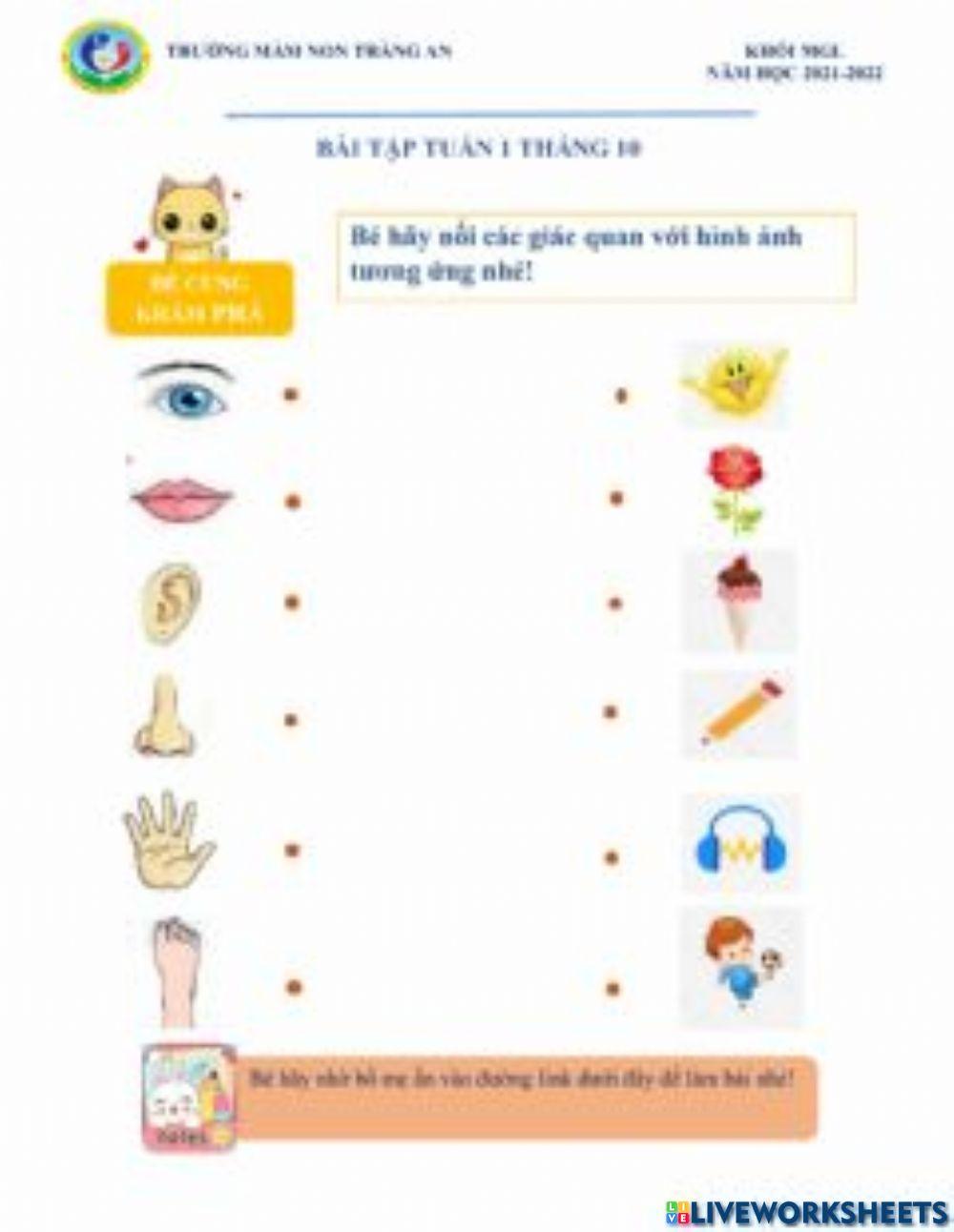 Phiếu bài tập toán