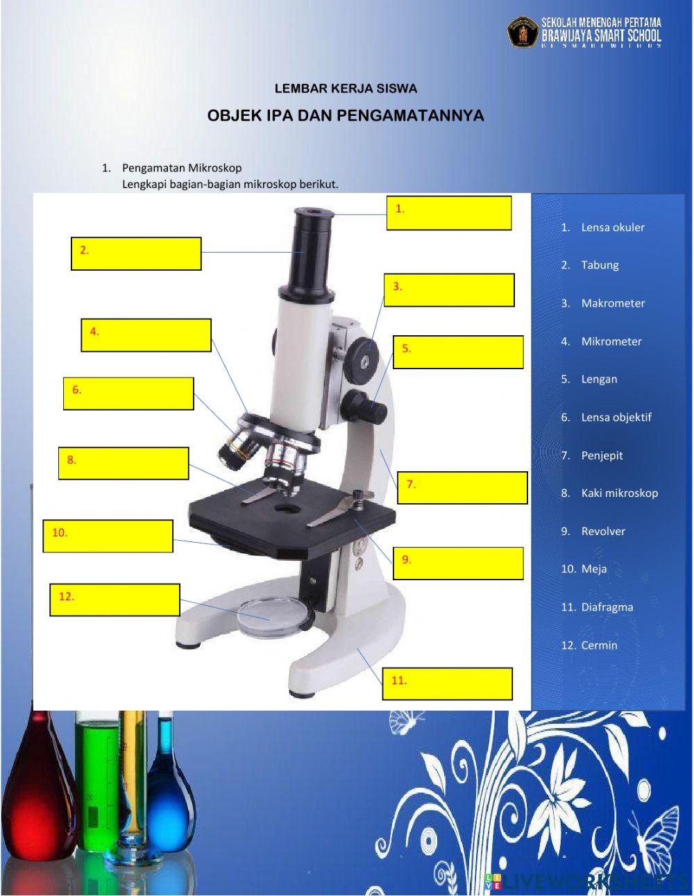 LKS Objek IPA dan Pengamatannya