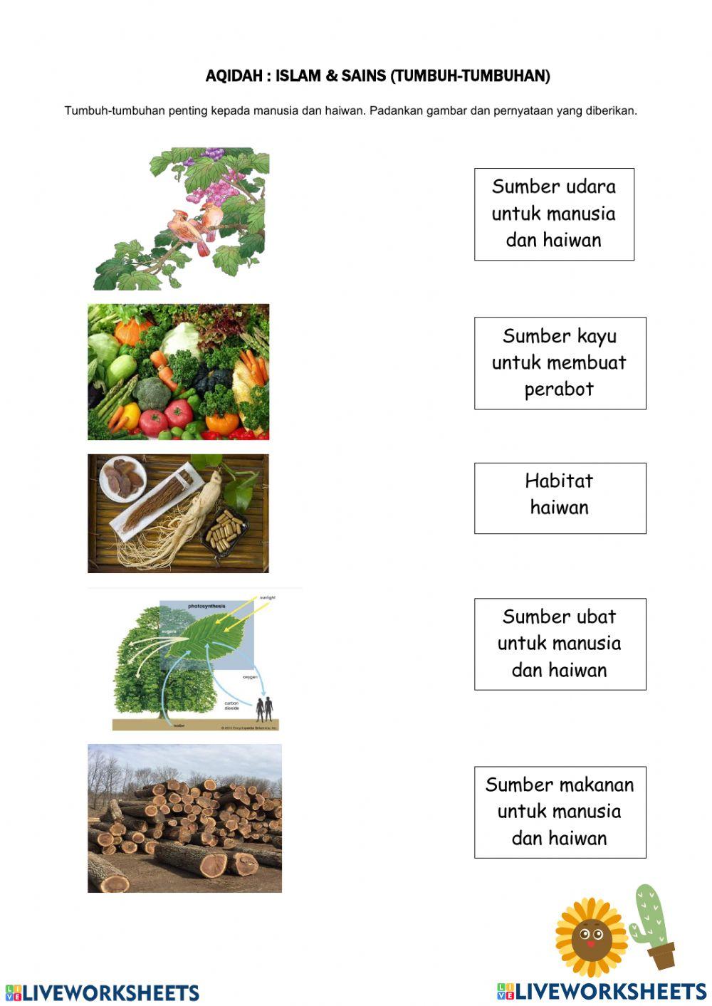 Islam dan sains : tumbuh-tumbuhan