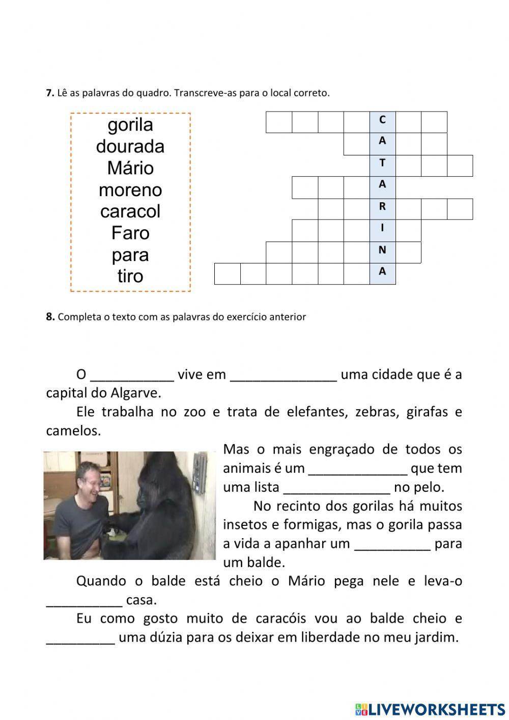 CASO R e RR texto do Gorila