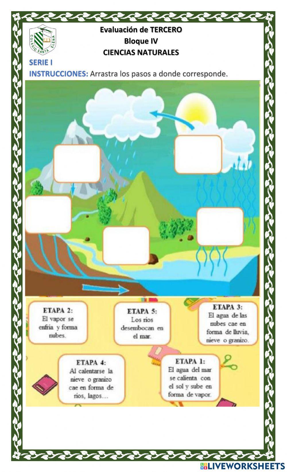 Examen ciencias naturales