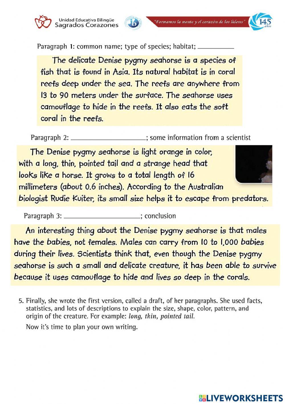 Writing Section - Information Report