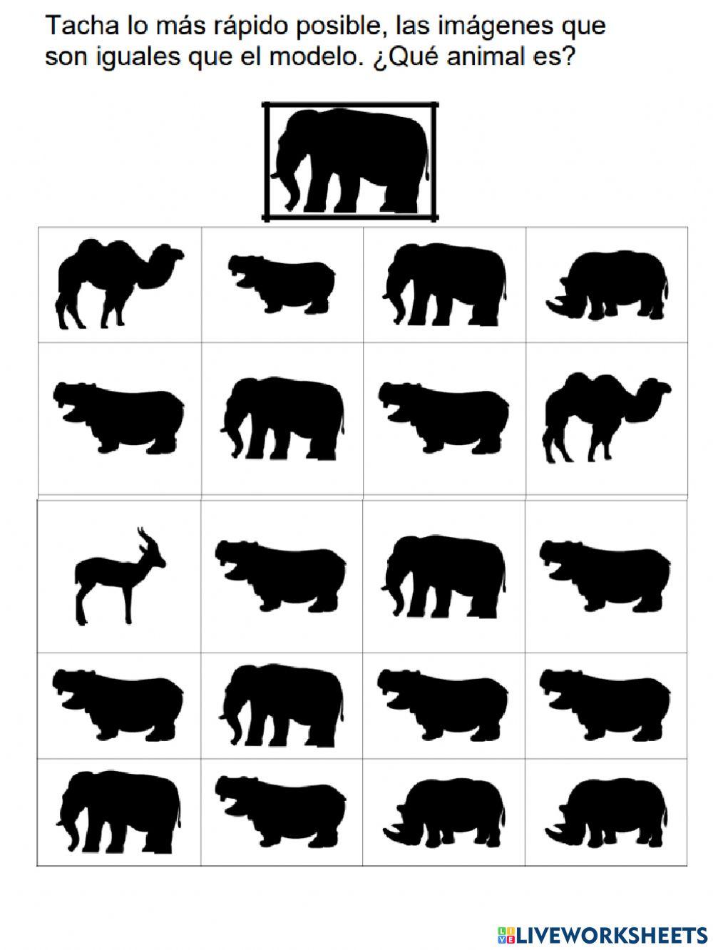 Atención concentración