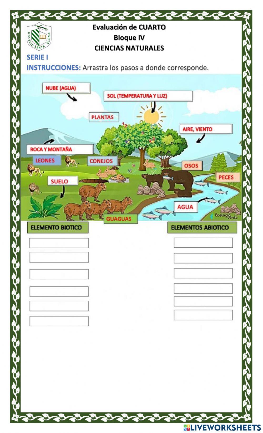 Examen final ciencias naturales cuarto