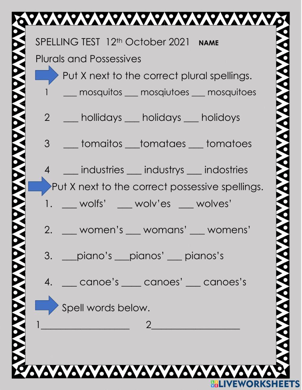 Plurals and possessive Spelling test