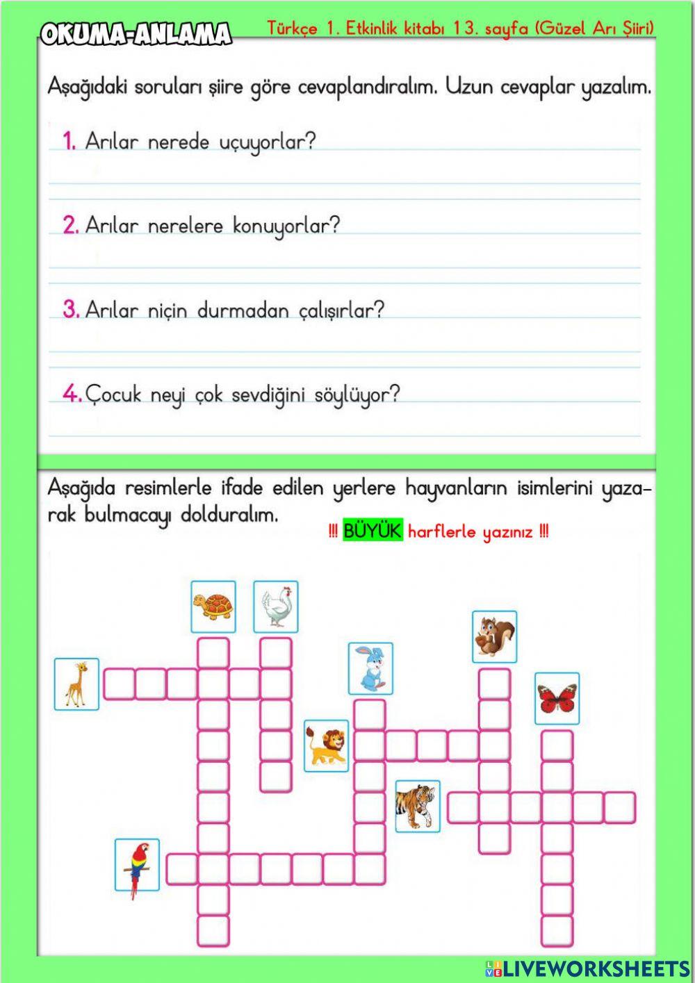 Okuma-Anlama Güzel Arı