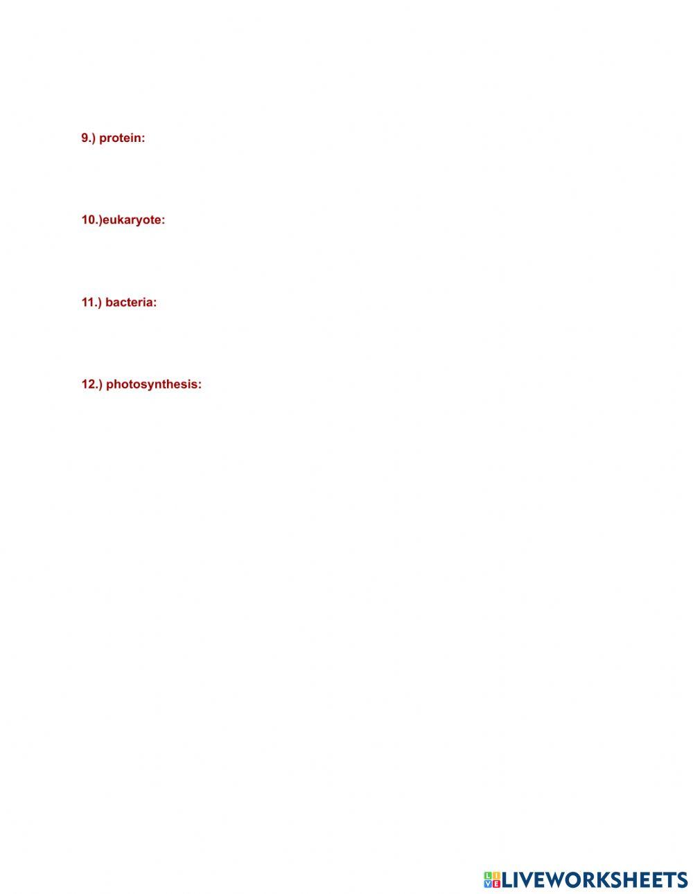 Biology Terms: Prokaryotes