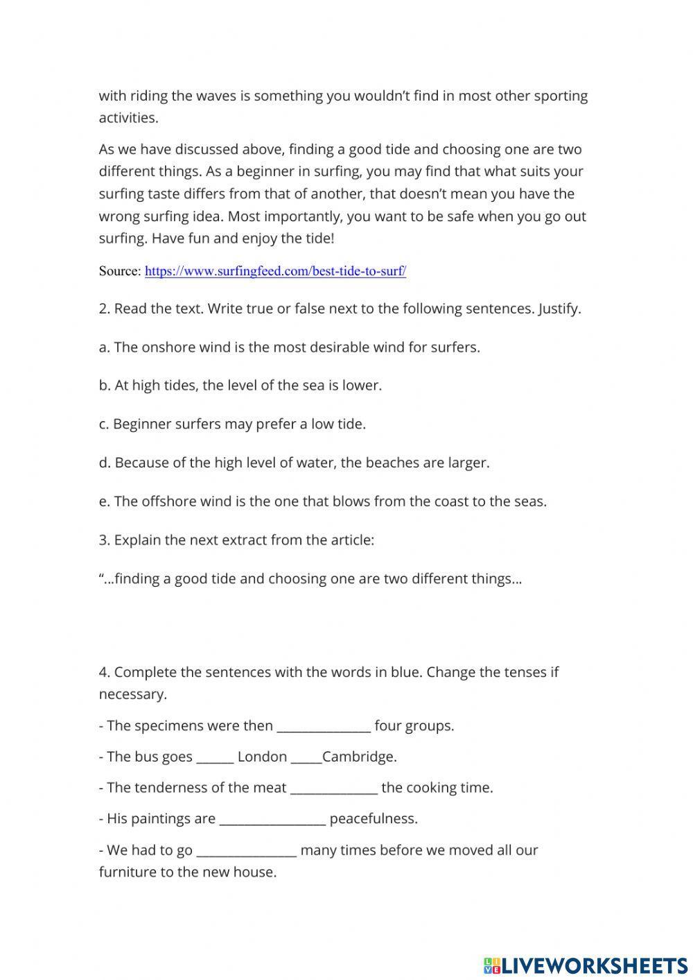 Which Tide is Best for Surfing