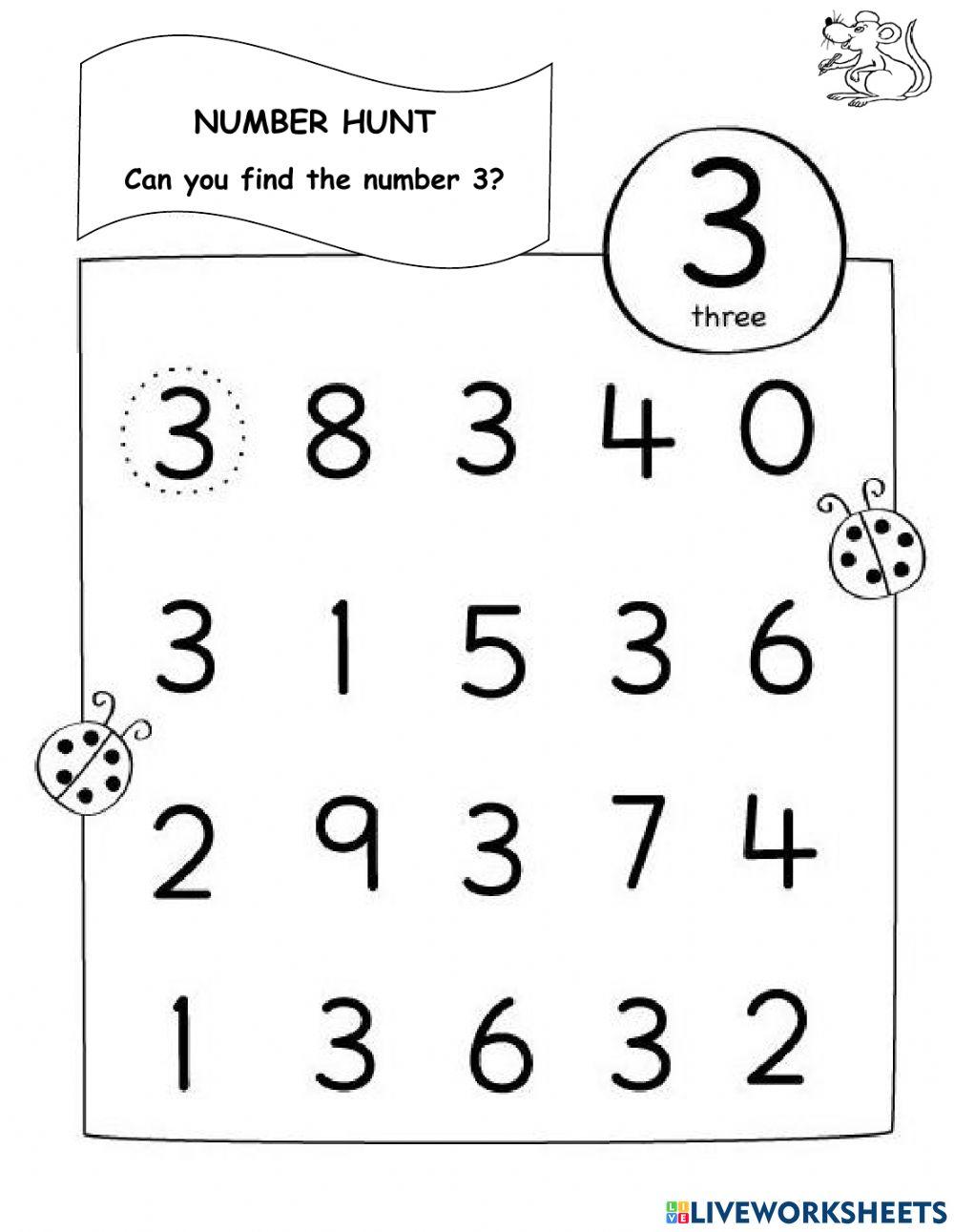 Number Hunt Number Hunt
