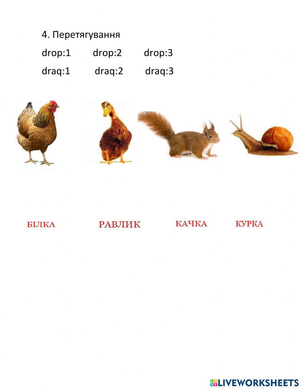 Як називаються ці тварини worksheet | Live Worksheets