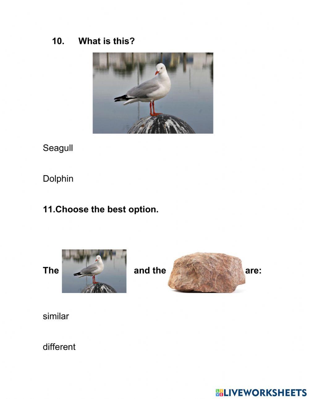 Living and non-living things