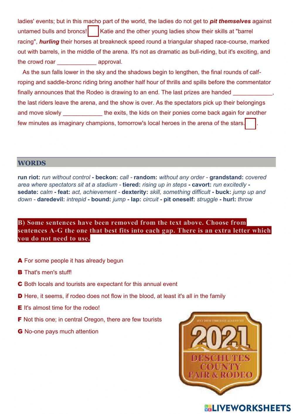 RODEO - The Sport of the West