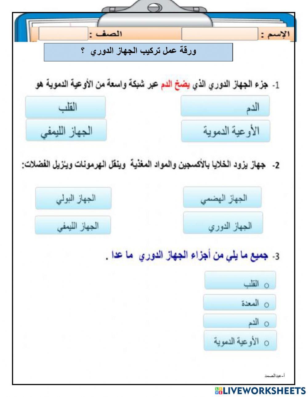 ورقة عمل الجهاز الدوري