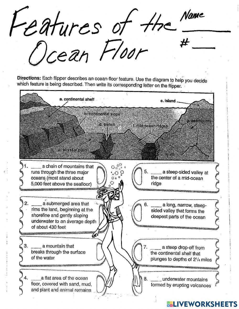 Ocean Floor Features Worksheet Live