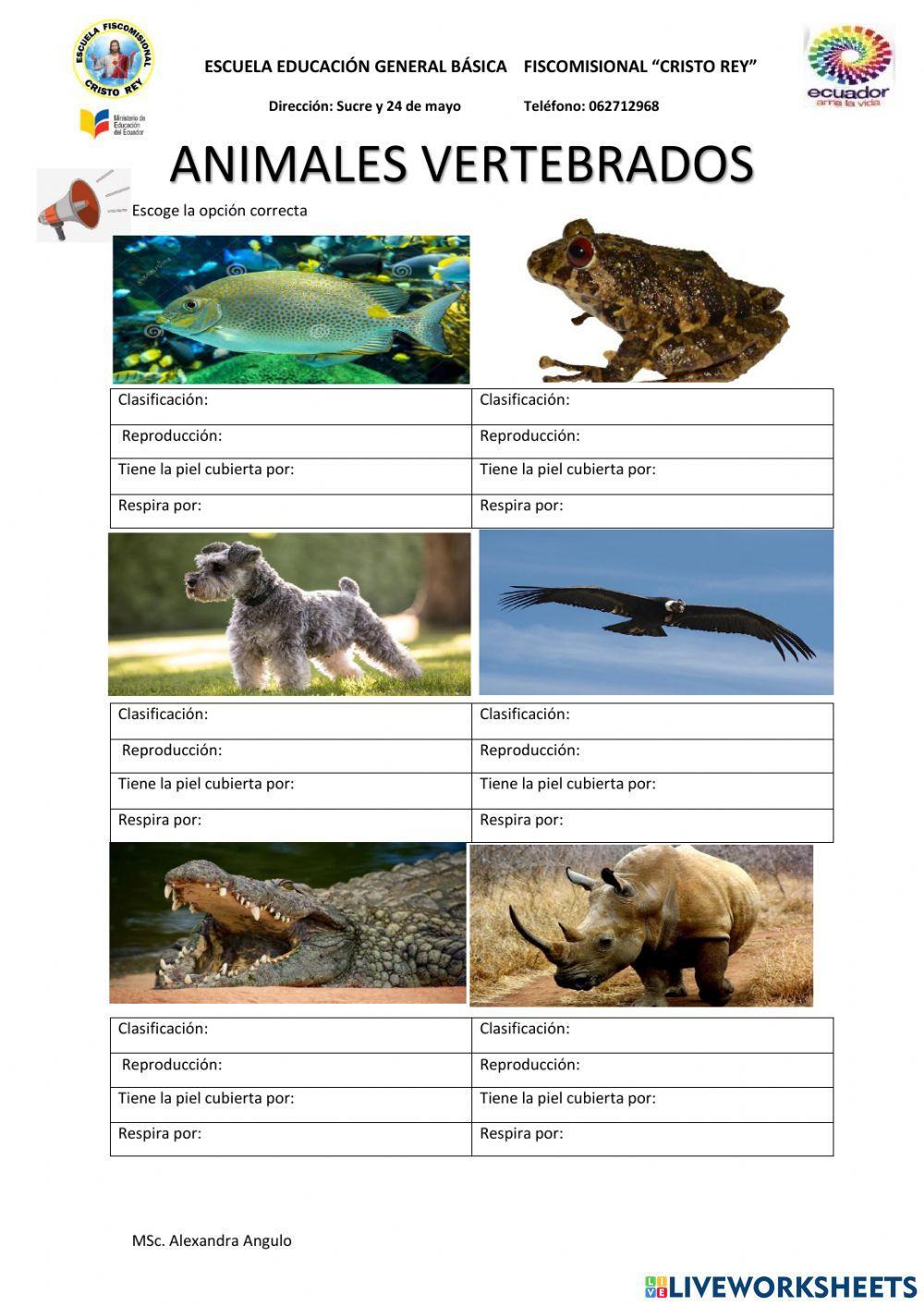 Animales vertebrados