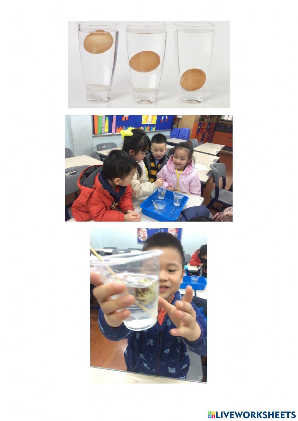 Lesson 6. floating eggs