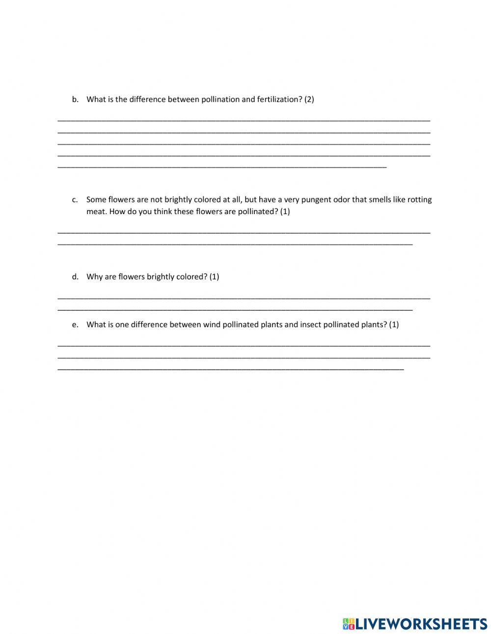 Classification of plants