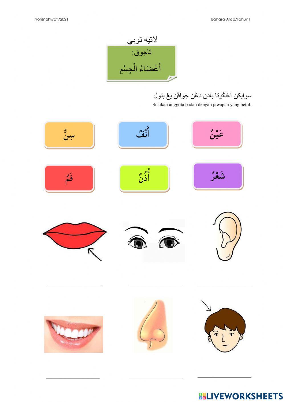 Latih Tubi Bahasa Arab T1
