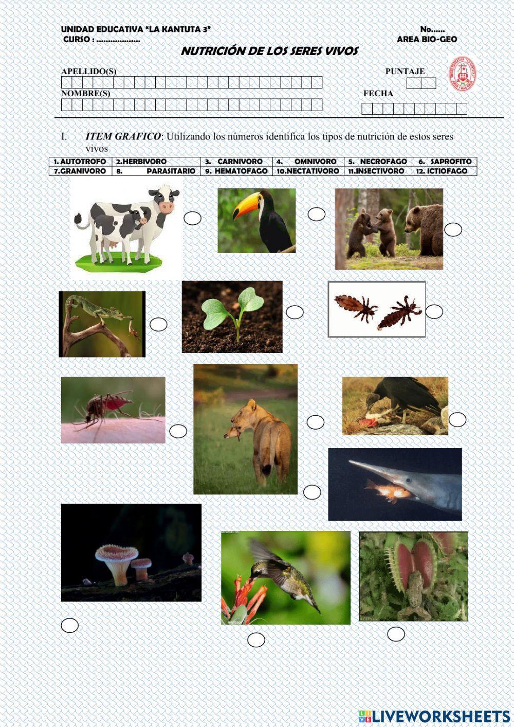 Nutricion en seres vivos